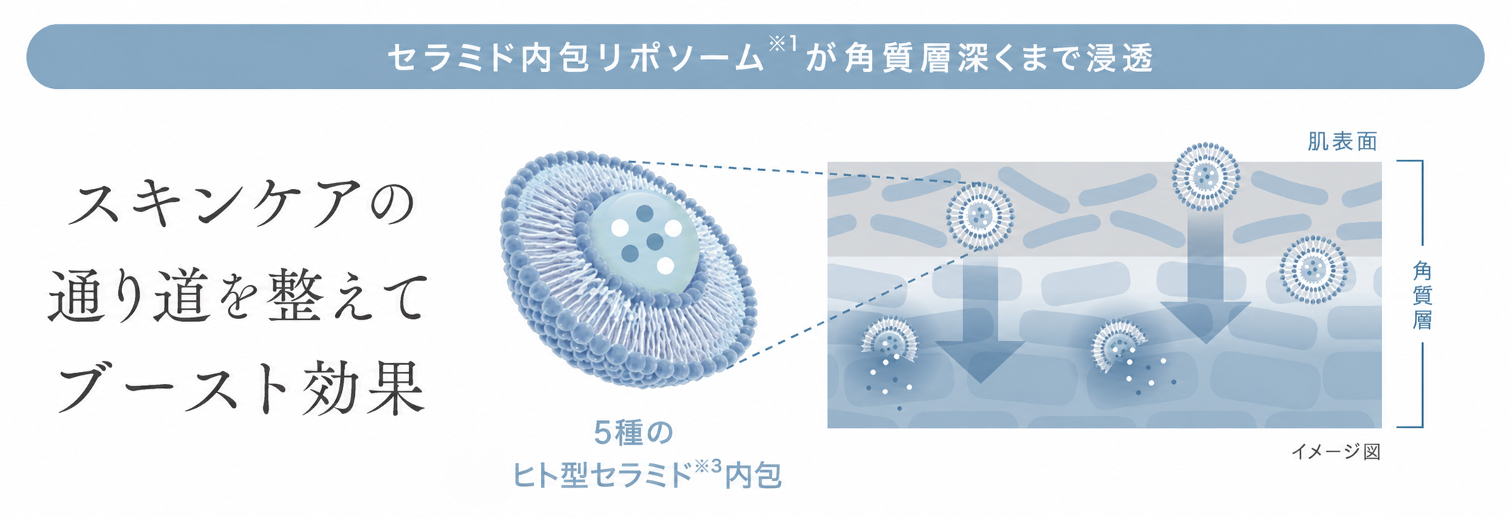 DUO CLEANSE SELUM,デュオ クレンズセラム ピール&ブースト,洗い流す美容液,ピーリング,スクラブ,クレンジング,@cosme ベストコスメアワード2026 上半期新作ベストクレンジング,プレミアアンチエイジング株式会社