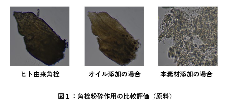 角栓粉砕テクノロジー,プレミアアンチエイジング株式会社,プレミアアンチエイジングラボ,技術開発,R&D